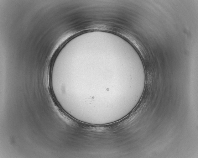 X0000115021131200911161440