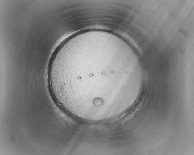 X0000115021133200911161440