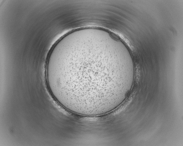 X0000115021134200911161440