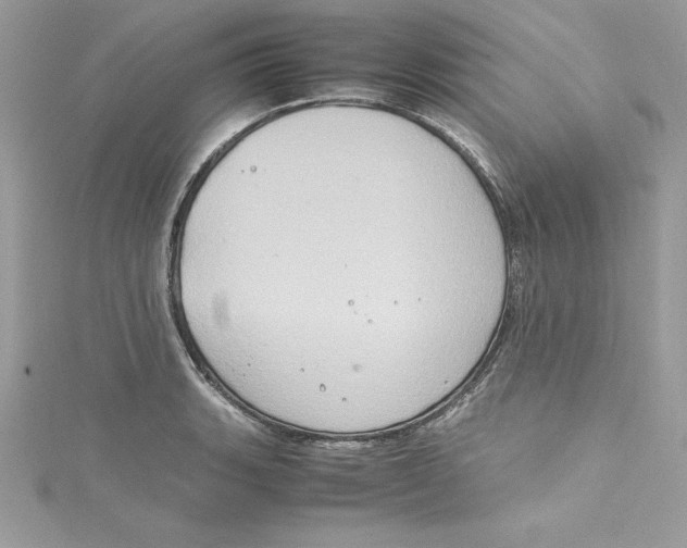 X0000115021135200911161440