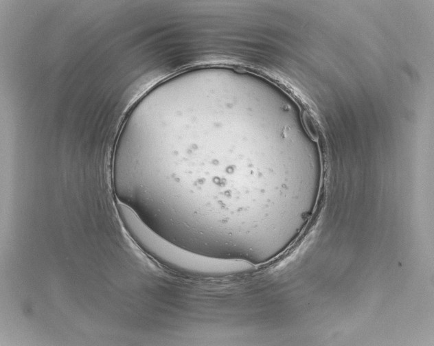 X0000115021137200911161440