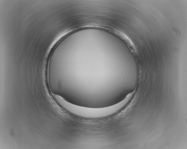 X0000115021138200911161440