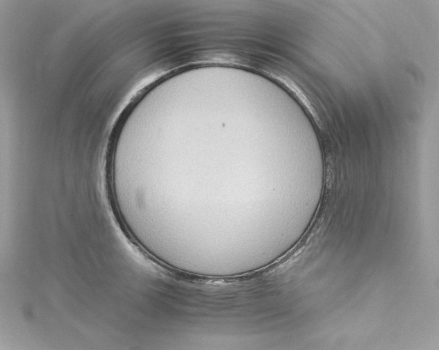 X0000115021139200911161440