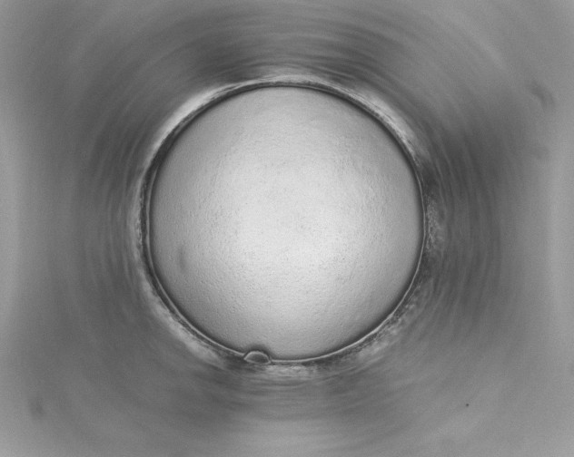 X0000115021142200911161440