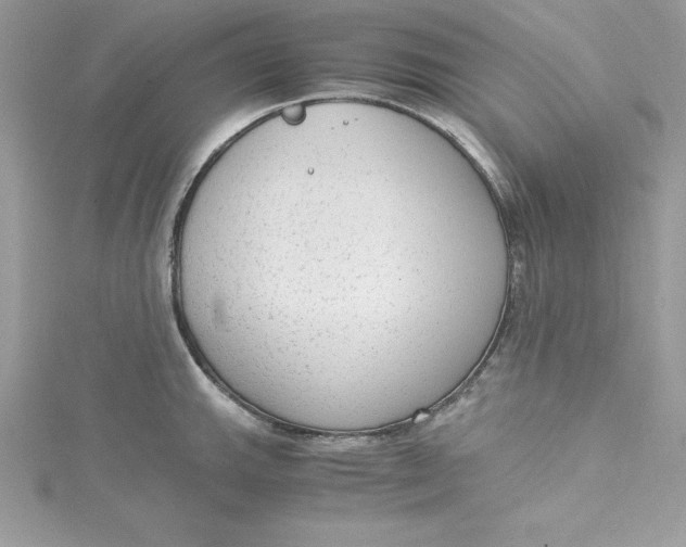 X0000115021143200911161440