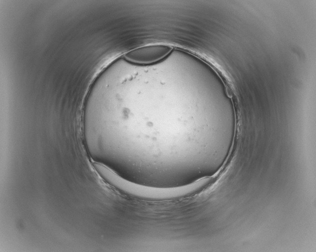 X0000115021145200911161440