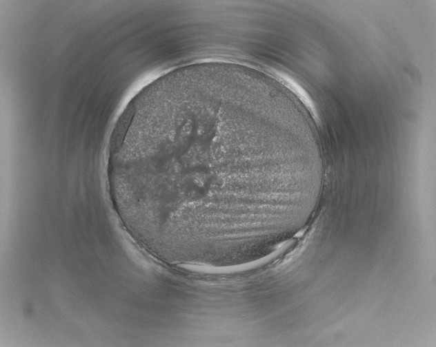 X0000115021146200911161440