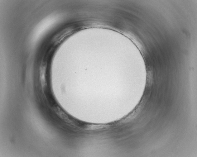 X0000115021150200911161440