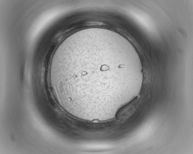 X0000115021151200911161440