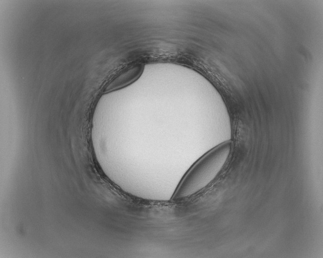 X0000115021153200911161440