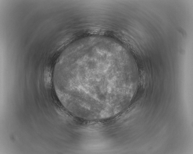 X0000115021154200911161440