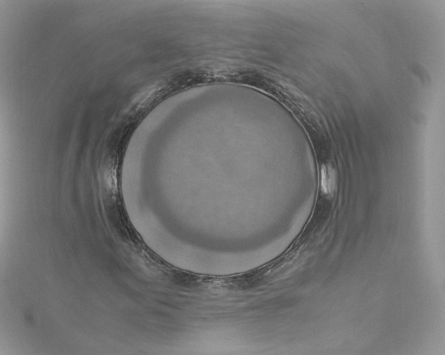 X0000115021155200911161440