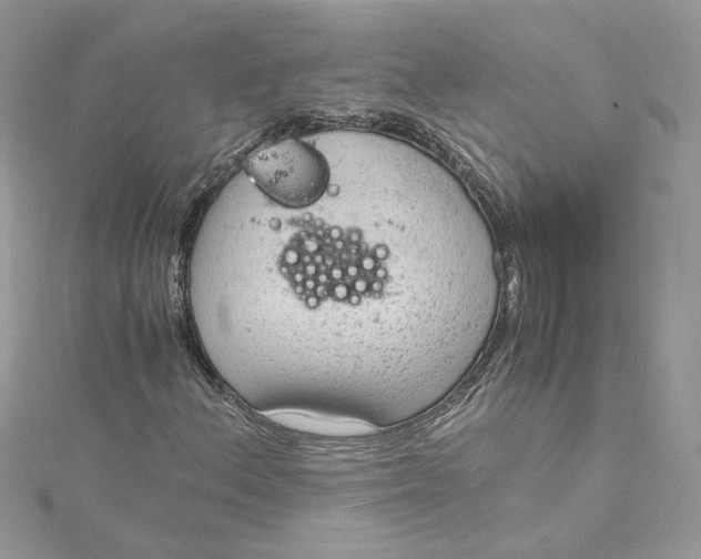 X0000115021156200911161440