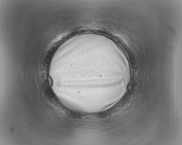 X0000115021159200911161440