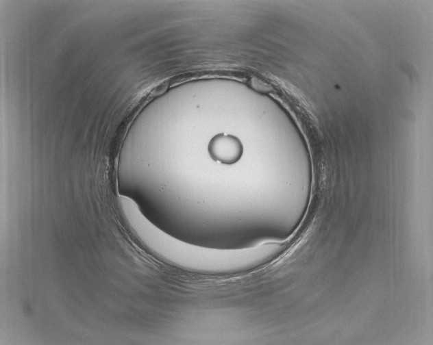 X0000115021161200911161439