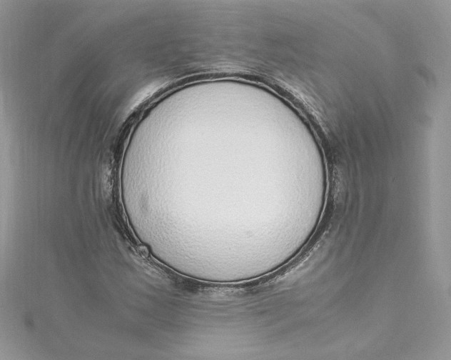 X0000115021163200911161439