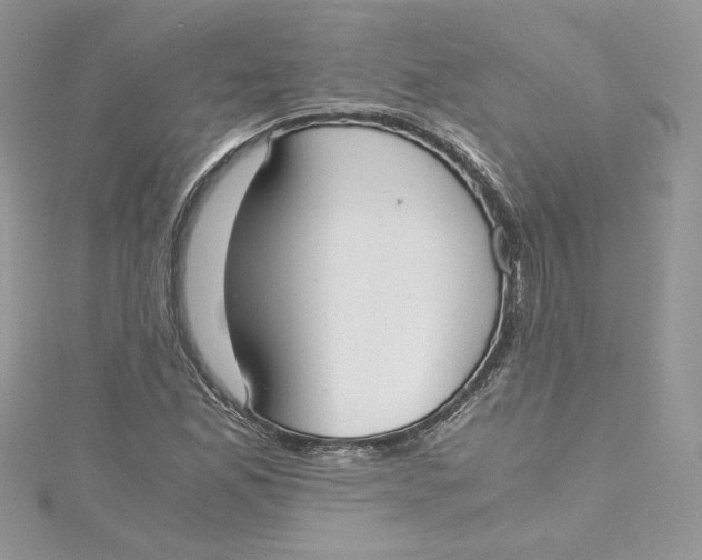 X0000115021165200911161439