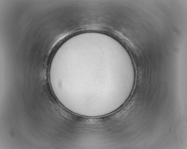 X0000115021166200911161439