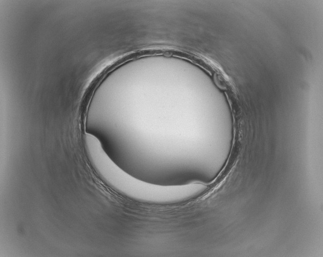 X0000115021167200911161439