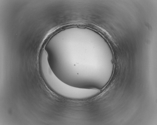 X0000115021168200911161439