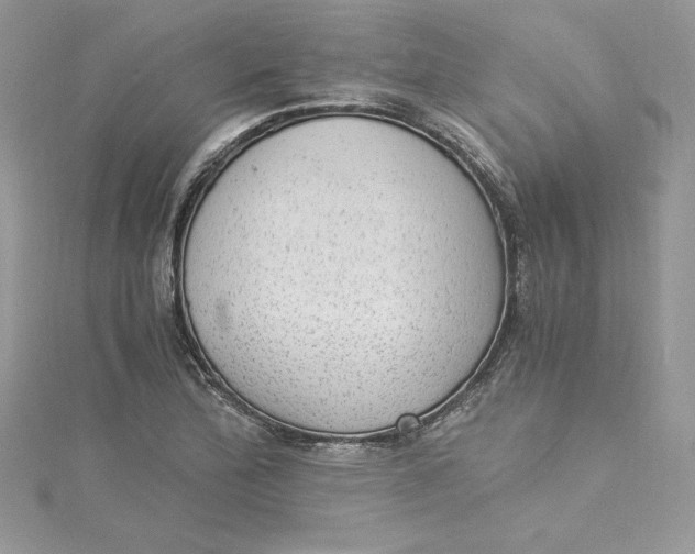 X0000115021172200911161439