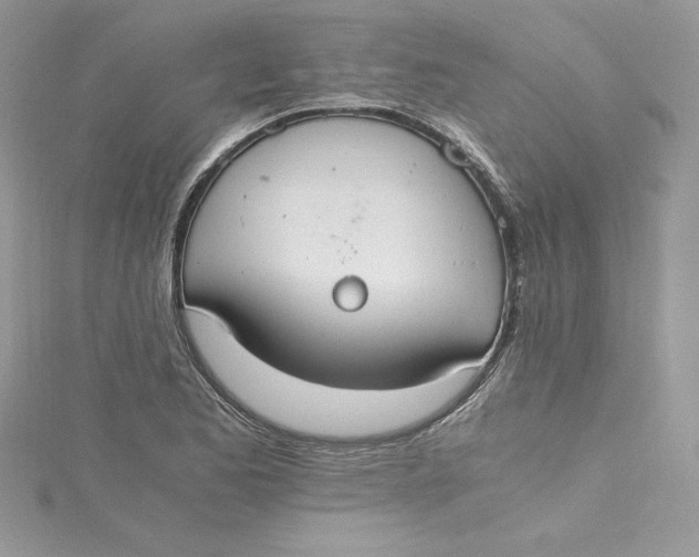 X0000115021173200911161439