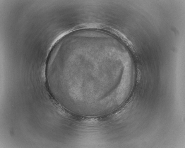 X0000115021174200911161439