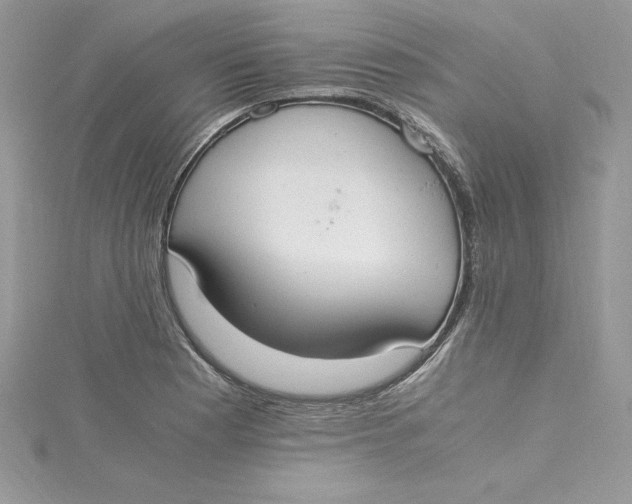 X0000115021177200911161439