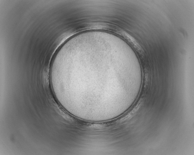 X0000115021178200911161439