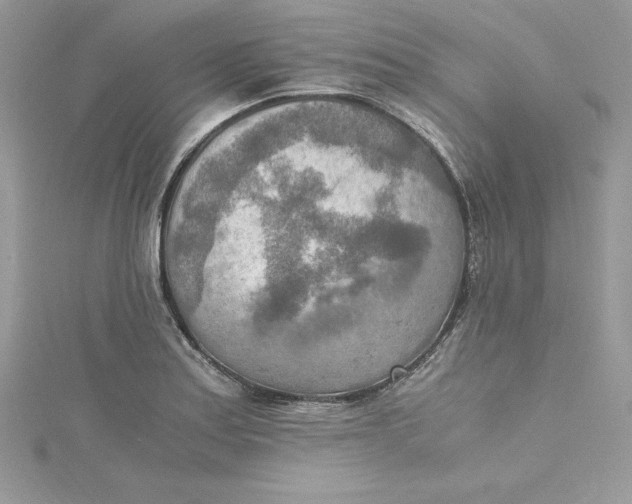 X0000115021179200911161439