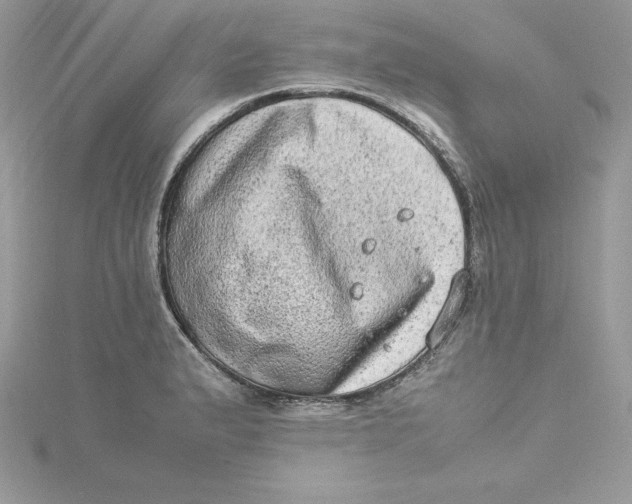 X0000115021183200911161439