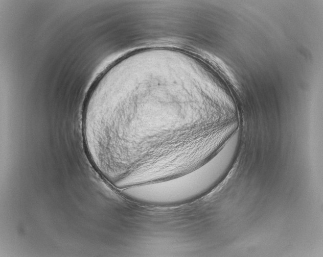 X0000115021184200911161439