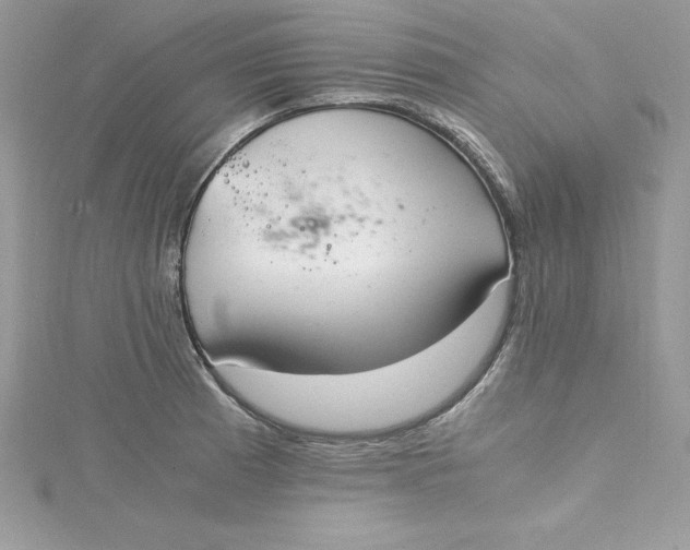 X0000115021185200911161439