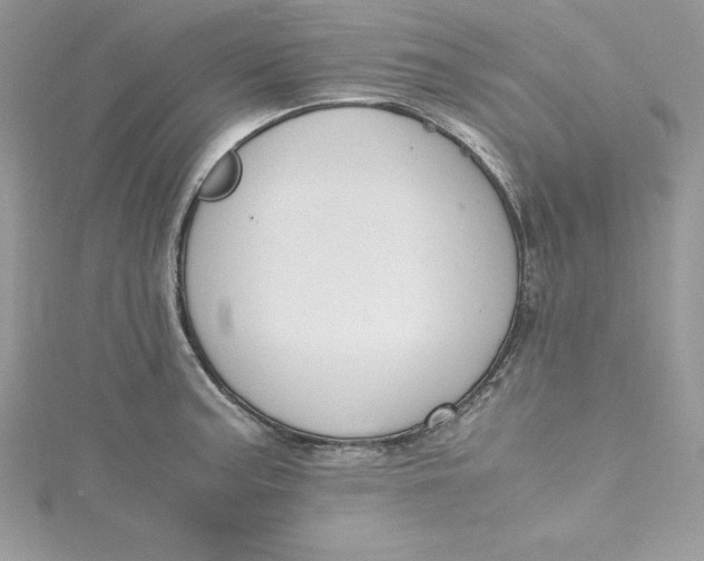 X0000115021187200911161439