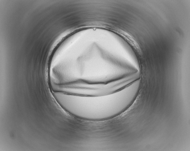 X0000115021188200911161439