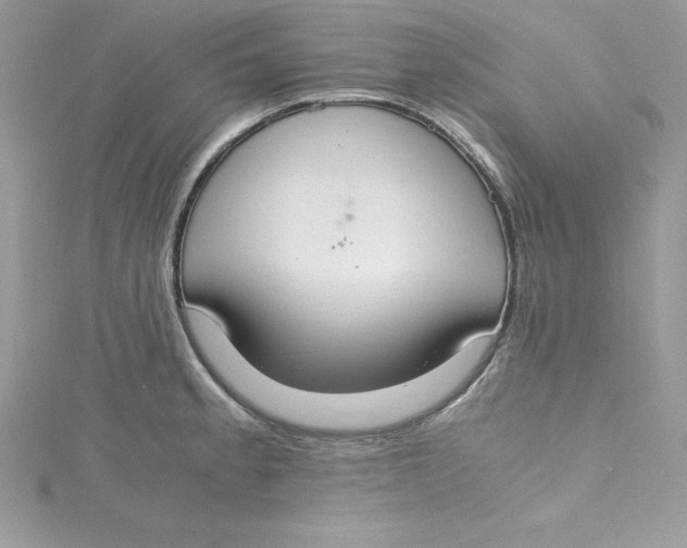 X0000115021189200911161439