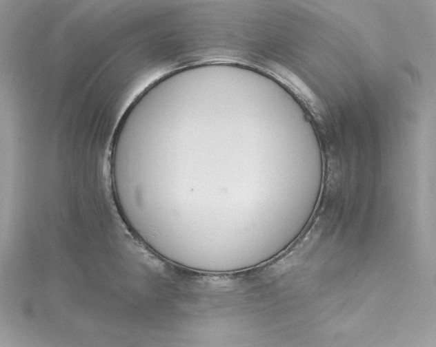 X0000115021190200911161439