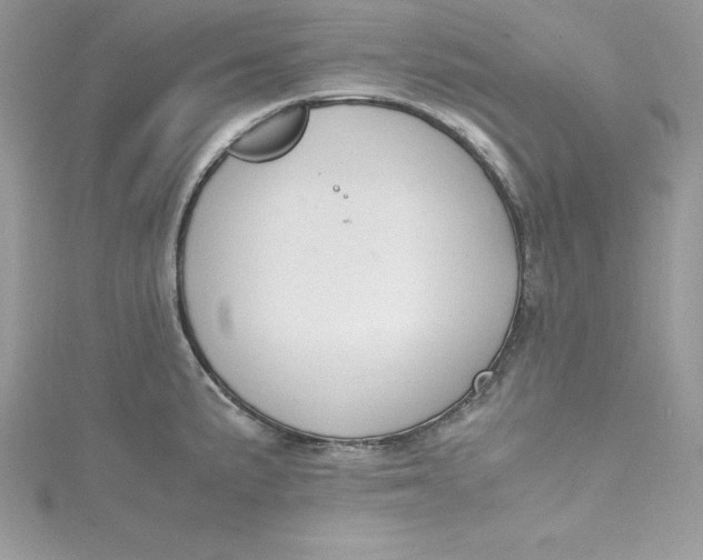 X0000115021191200911161439