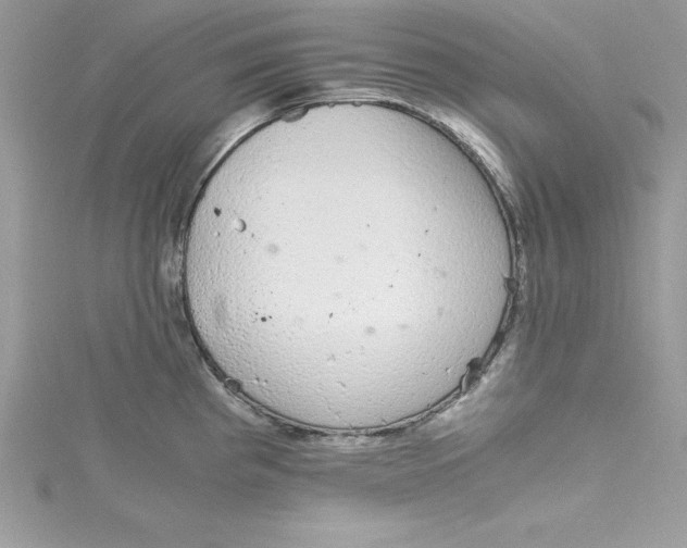 X0000115021193200911161439