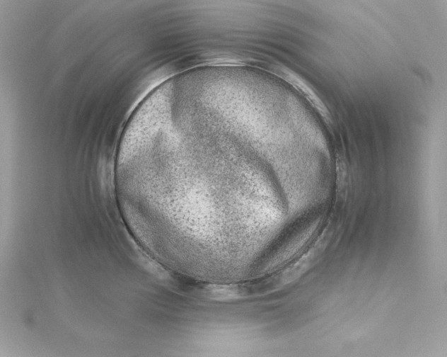 X0000115021194200911161439