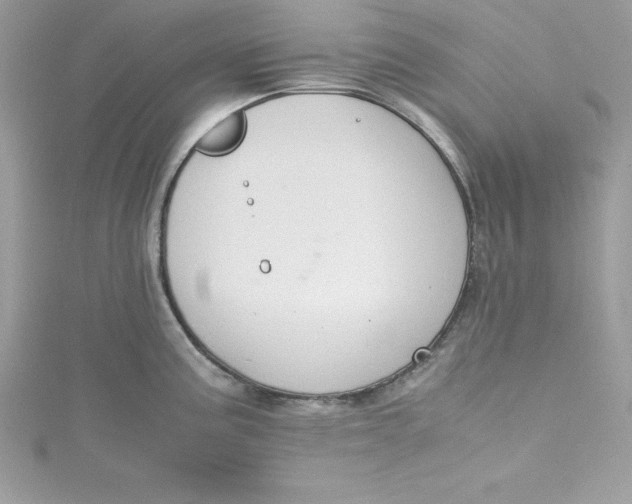 X0000115021195200911161439