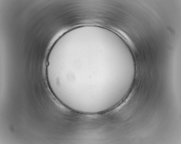 X0000115021196200911161439