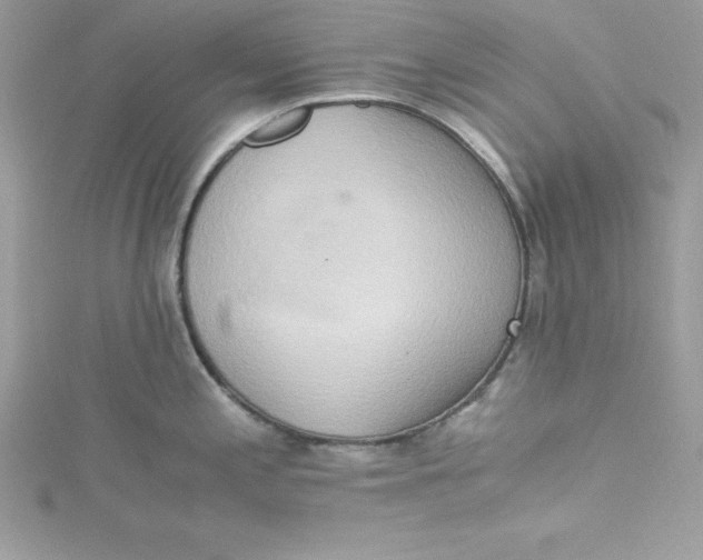 X0000115021197200911161439