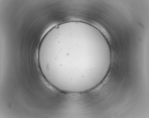 X0000115021198200911161439