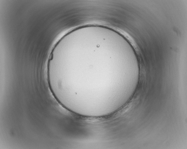 X0000115021199200911161439