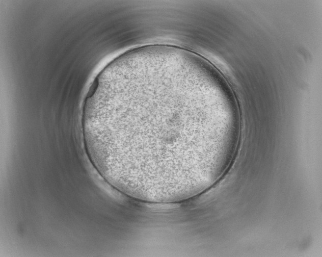 X0000115021200200911161439