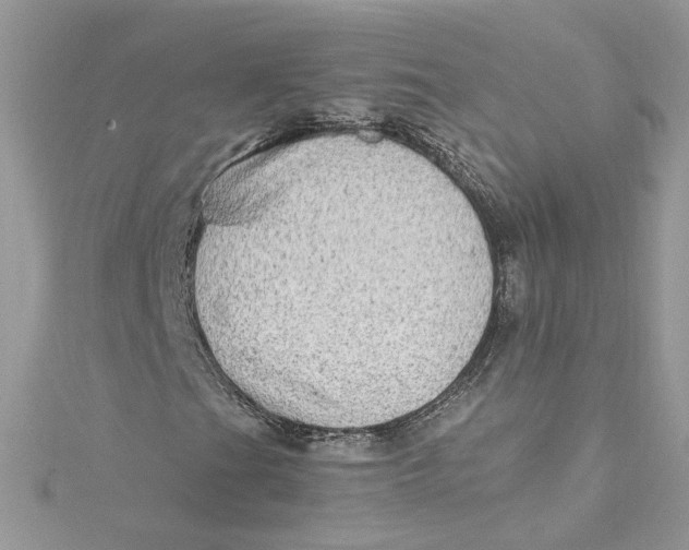 X0000115021201200911161438