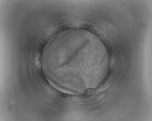 X0000115021202200911161438