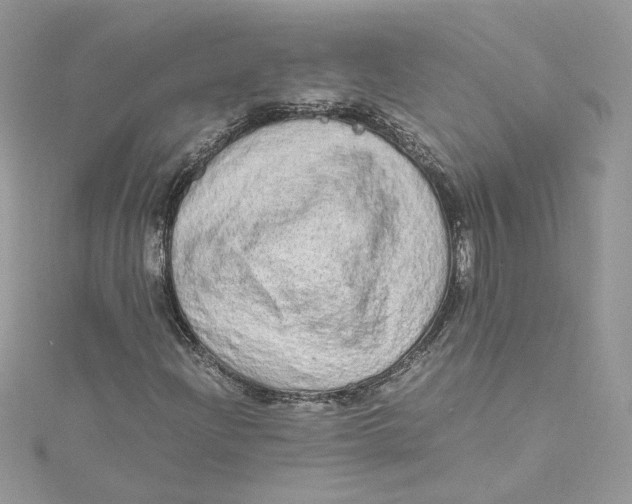 X0000115021204200911161438