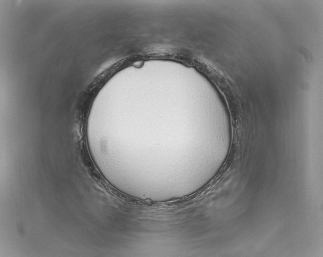 X0000115021206200911161438